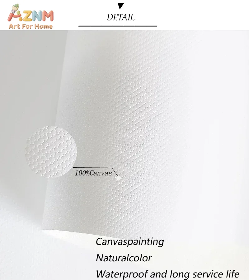 AZNM Commercial Airplane on Ru - Commercial Printing & Packaging Pvt Ltd reseña y precio