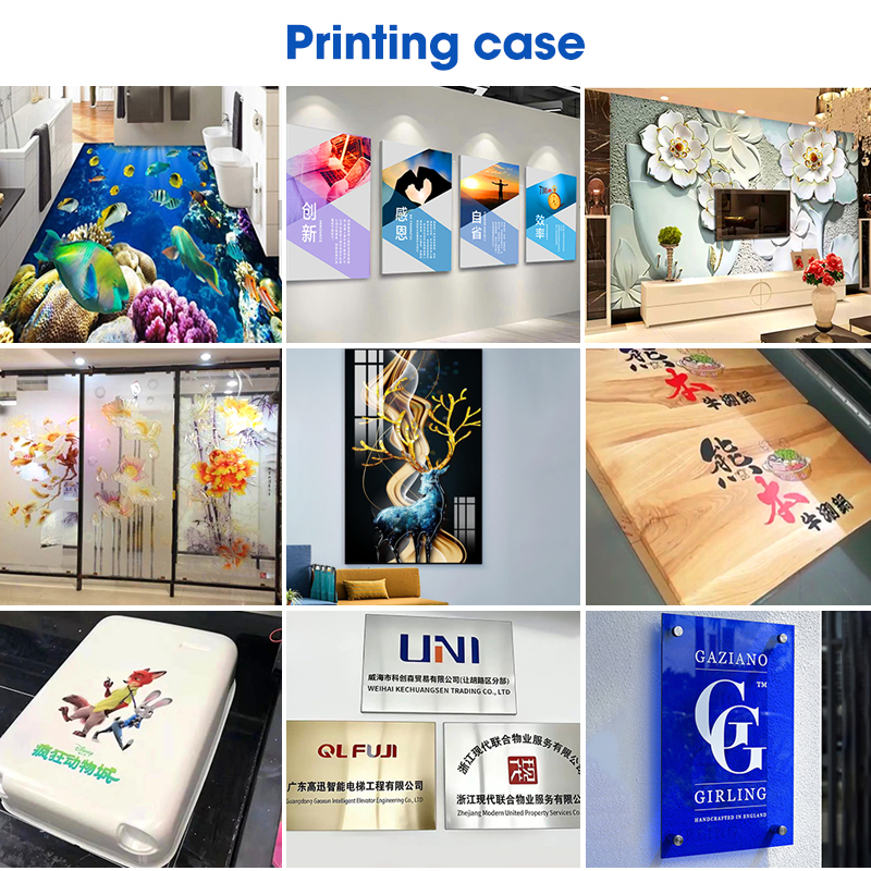 Large Format 6090 Flatbed UV P - Uv Flatbed Printer reseña y precio