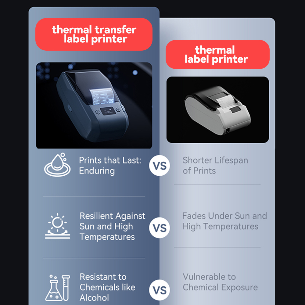 Niimbot M2 Thermal Transfer La - Commercial Printing Definition reseña y precio